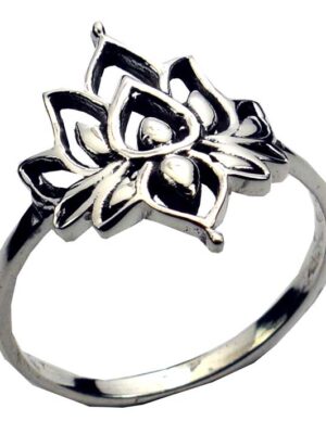 Silver Ring Crown