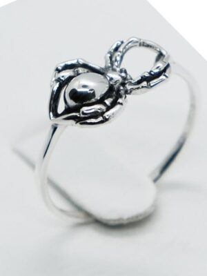 Silver Ring Spider