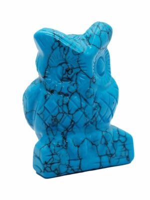 Owl Turquoise 2 Inch