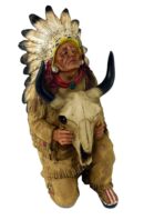 Indian Chief With Buffalo Head