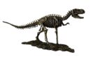 Dinosaur Skeleton On Stand