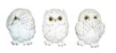 Owl White Set Of 3