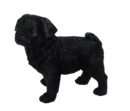 Dog Pug Black