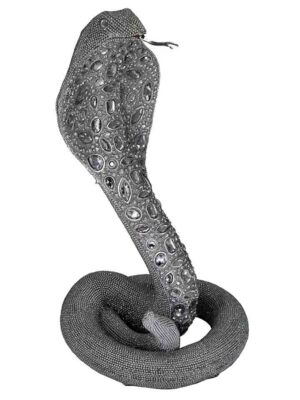 Snake Rattle Silver Mirrors