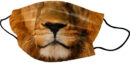 Mask Lion 2PCS