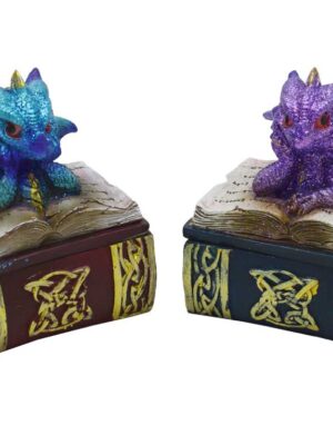 Box Dragon On Book Set Of 2 (Big Discounts!)