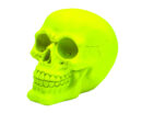 Skull Neon Light Green