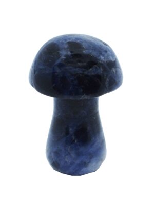 Mushroom Sodalite 25mm