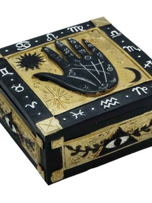 Box Palmistry