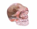 Skull Glass Pink 50mm