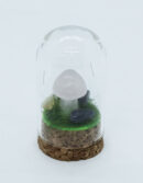 Mushroom Rose Q in Glass