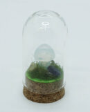 Mushroom Opalite in Glass