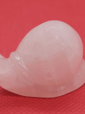 Snail Rose Quartz 4cm