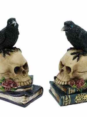 Ravens on Skull and Books