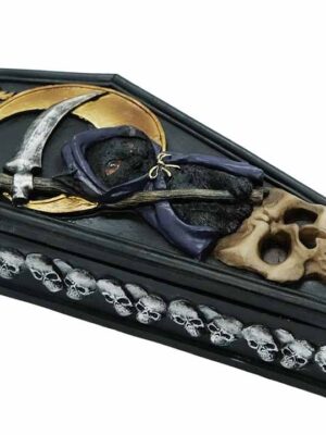 Box Reaper Cat On Skull