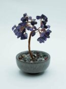 Tree Chip Amethyst Colour Pot