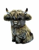 Cow Highland Sitting