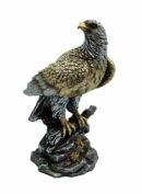 Eagle Golden Sitting