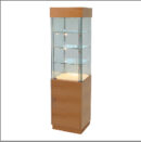 Cabinet 500x500x1980