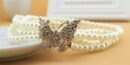 Belt ABS Pearl Daimonte BFly