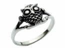 Silver Ring Owl On Perch