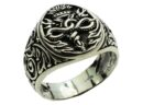 Silver Ring Snakes Round Pole