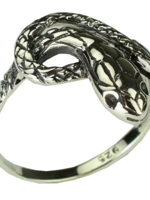 Silver Ring Snake