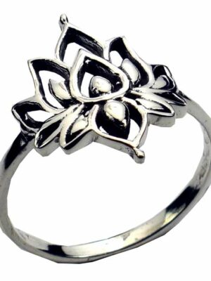 Silver Ring Crown