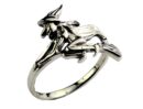 Silver Ring Witch on Broom
