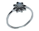 Silver Ring Flower Rainbow
