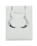 Silver Earring Moon Rainbow