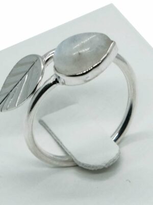 Silver Ring Leaf Rainbow