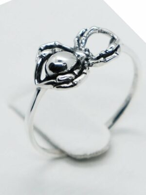 Silver Ring Spider