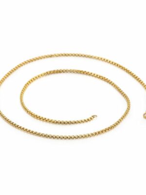 Chain Stainless Gold 2mm 20in