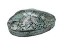 Box Avalone Shell