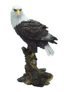 Eagle On Stand
