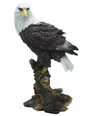 Eagle On Stand