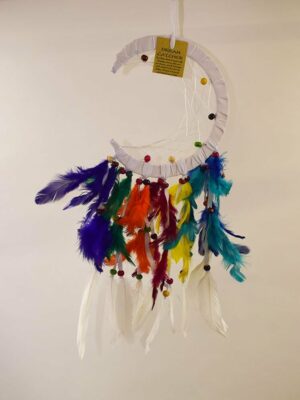 Dream Catcher Moon Rainbow 17cm