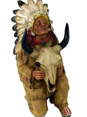 Indian Chief With Buffalo Head