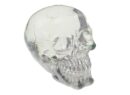 Skull Crystal 11X15.5X12.5cm