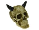 Skull With Ox Horn