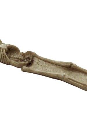 Incense Holder With Skull