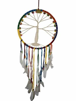 Dream Catcher Tree Rainbow