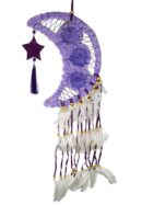 Dream Catcher Moon Purple