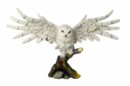 Owl With Outstretched Wings