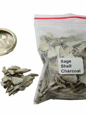 Abalone Shell And White Sage