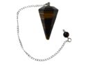Pendulum Tiger Eye Faceted