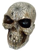 Skull With Sunken Eyes Ivory