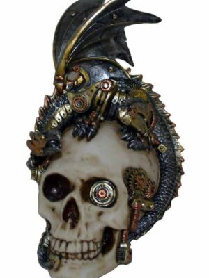 Skull Head With Dragon
