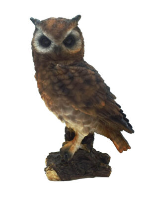 Owl Brown On Base